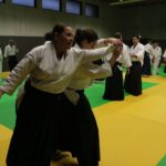 stage international aikido 2